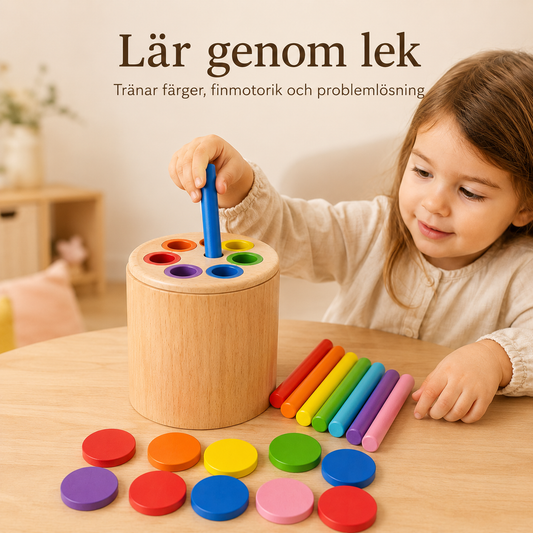 Montessori träleksak för färg- och formsortering