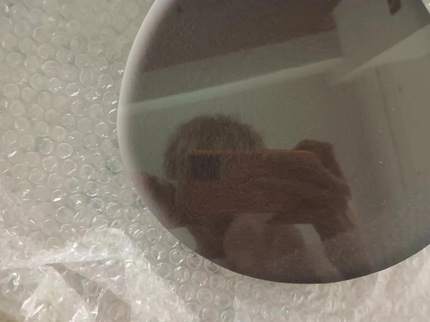 Ny stil vägglampa för vardagsrum – dekorativ målning med växtmotiv för veranda, korridor och hall – väggmonterad lampa med kontakt